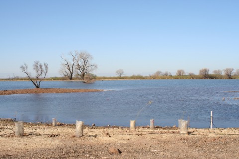 a body of water